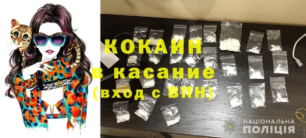 сатива Гусиноозёрск